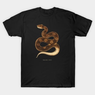 Terracotta snake T-Shirt